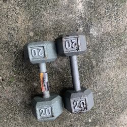 Two 20 Pound Dumbbell Weight 30$