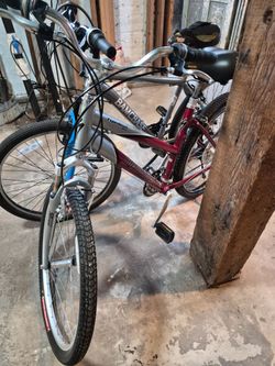 Expedition bike
