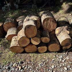 FREE Fir Firewood Rounds