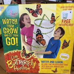 Grow Butterfly Kit