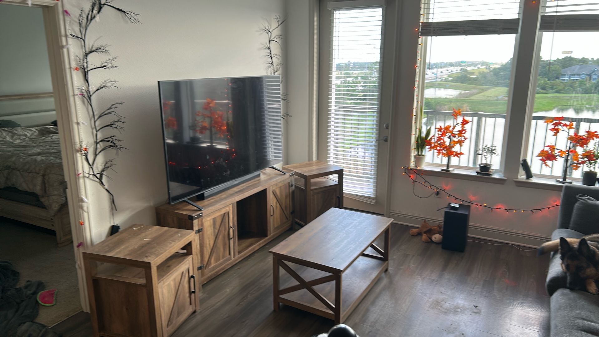 Living Room Set