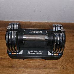 Adjustable 25lb Dumbbell