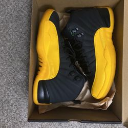 Jordan 12 