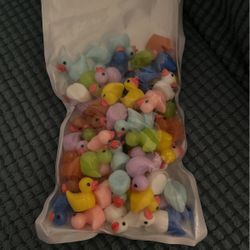 Mini Duck Statues