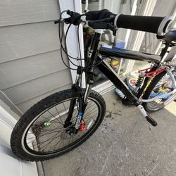 Mountain Bike