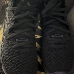 Mens LeBron 17 Size 8