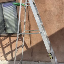8 Foot Ladder 
