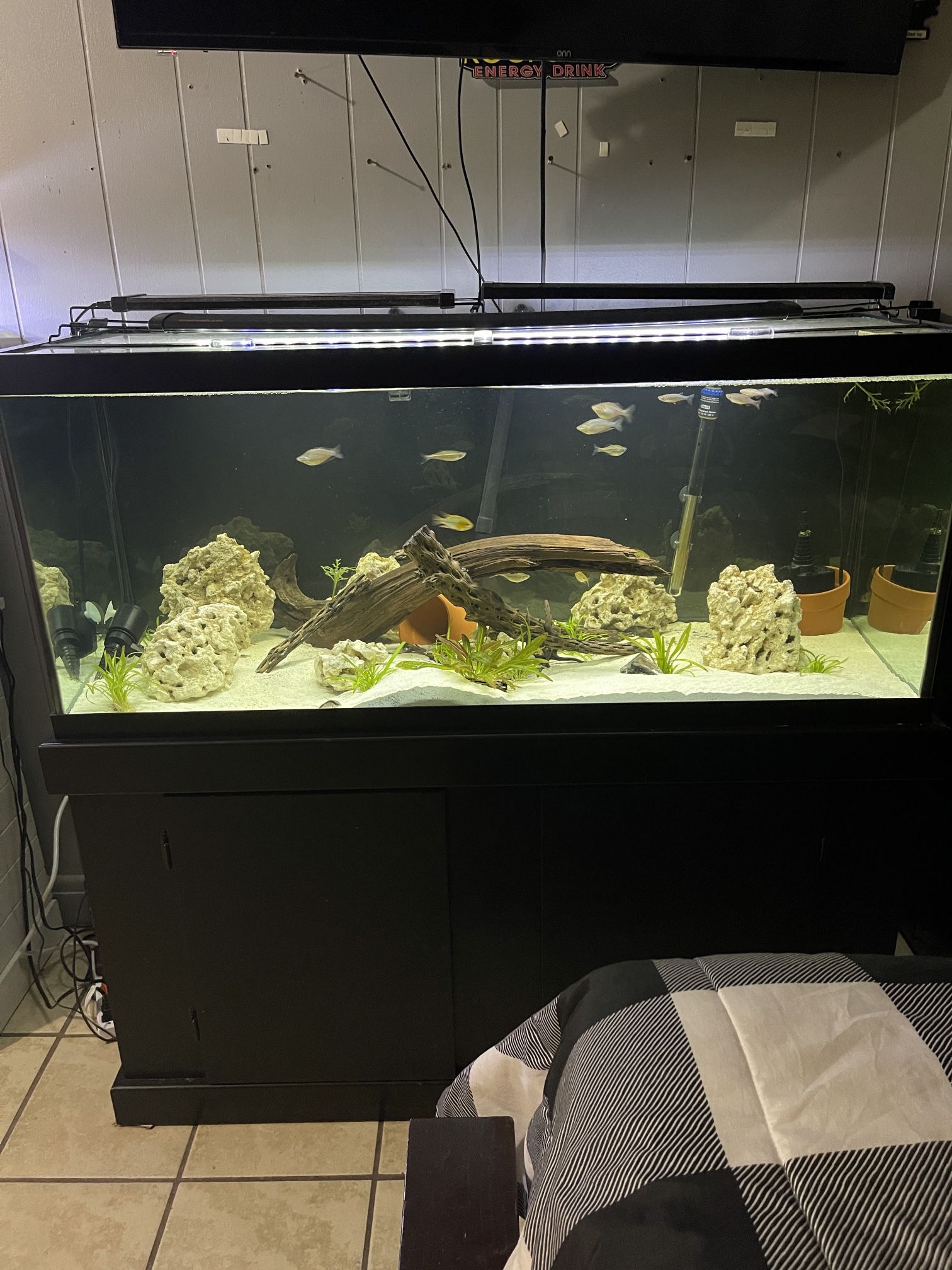 75 & 25 Gallon Fish Tanks 