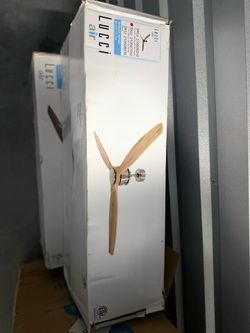Ceiling Fans
