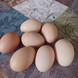 Eggs