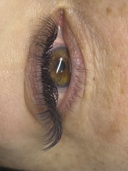 Lashes