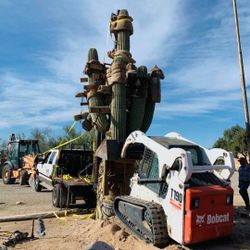 No More Leaning Cactus