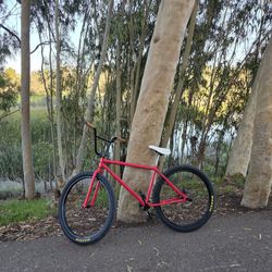 29 Inch Bmx Bike 