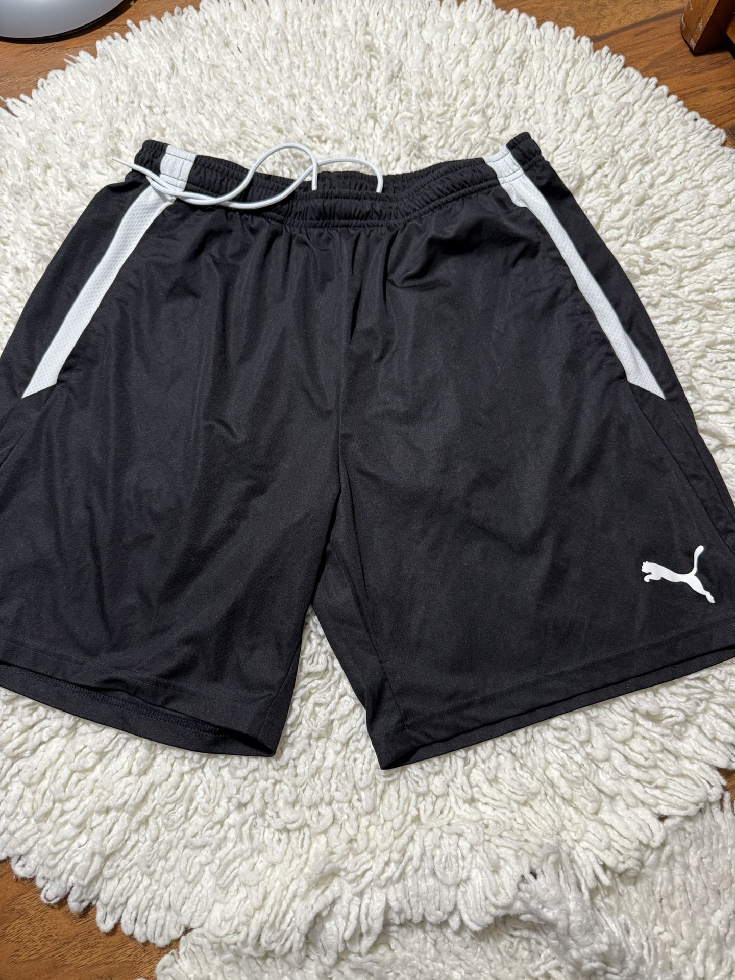 Puma Men’s shorts Xl on tag