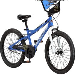 Schwinn Koen & Elm Big Kid Bike New 