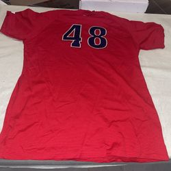 Williamsport CrossCutters Game Used Bp 2007 Jersey Wilson Red Coa Baseball #48