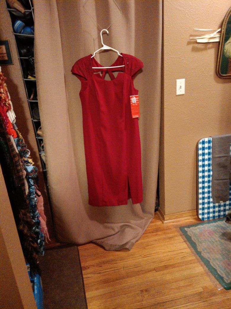 Beautiful New Size 14 Petite Dark Cranberry Dress For Christmas Or New Year's Eve