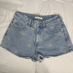 Summer Pacsun Daisy Shorts Denim