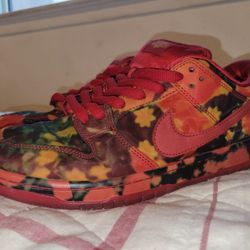 Nike SB Dunk Low Wizard of Oz Red Ruby Size 9.5 FZ1291-600 Authentic Rare