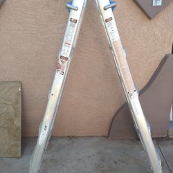 Werner 22ft Ladder / Escalera