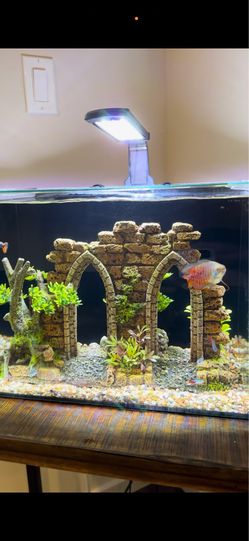 Aquarium