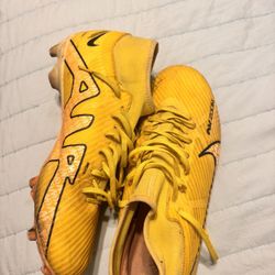Nike Vapor Size 10.5
