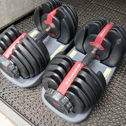 Bowflex Select Tech 552Adjustable Dumbbells