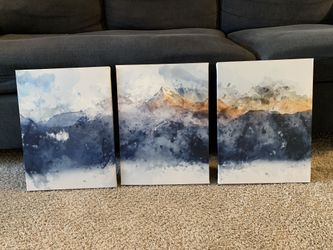 Canvas Set