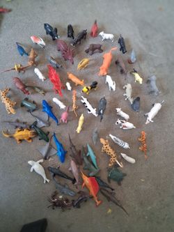 Small miscellaneous animals