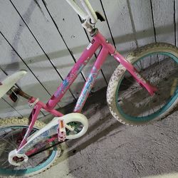 Girls Bicycle Youth
