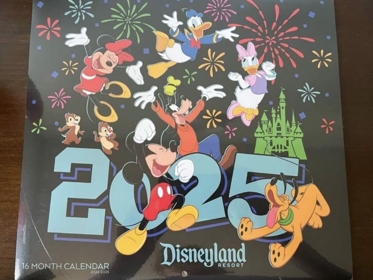 Disneyland Resort 16 Month Wall Calendar 2024-2025 New Sealed