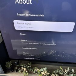 65” Sony 80K Sound Bar And System 