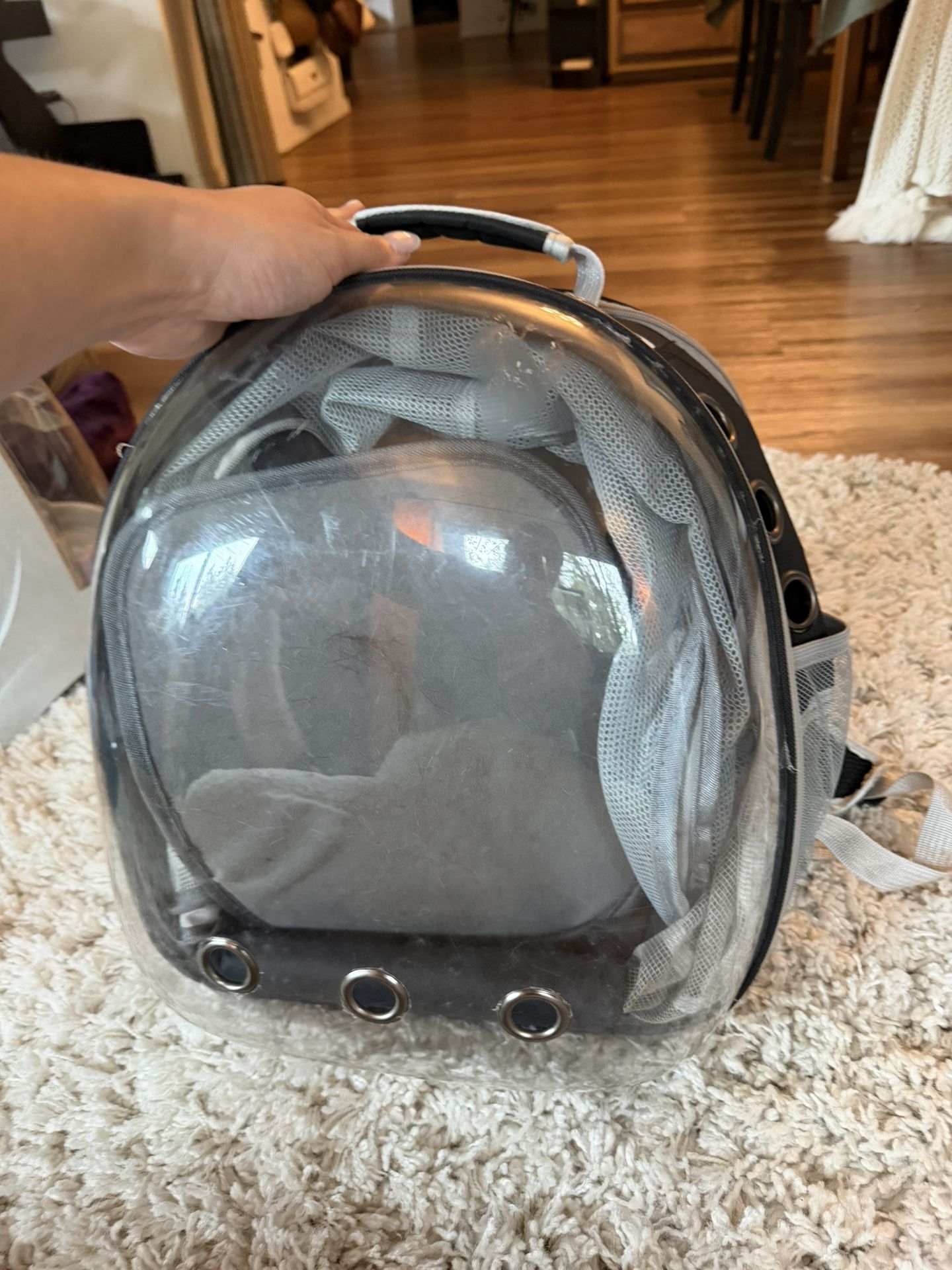Clear Transparent Pet Backpack with Ventilation pet backpack with breathable mesh sides. Ideal for small pets. Features ventilation holes for comfort.