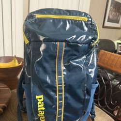 Patagonia Backpack 