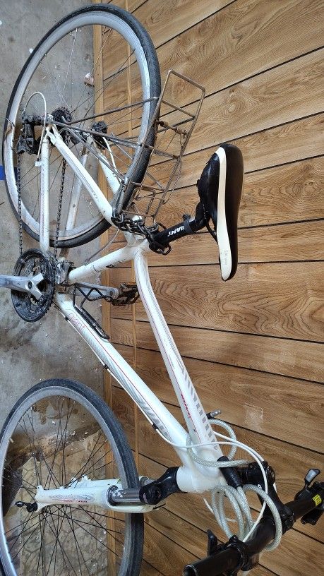 Giant Bike
