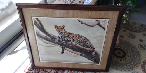 Leopard Pic 35.5w × 30 H