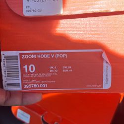 Kobe 5