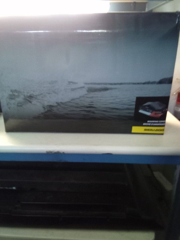 2022 SEA-DOO Switch cruise Pontoon