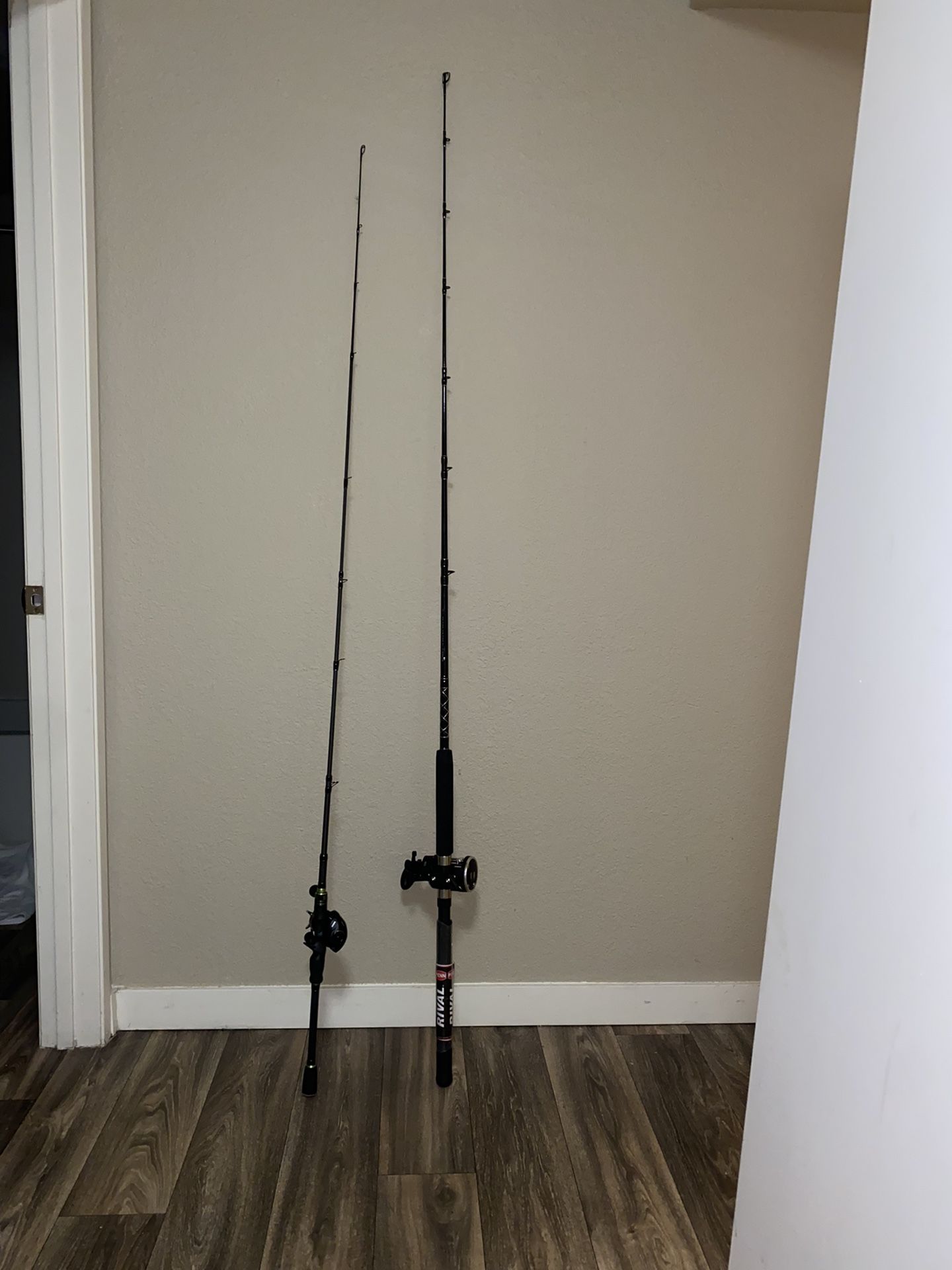 Penn Rival & Sougayilang Fishing Poles