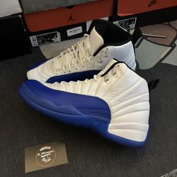 Jordan 12 Blueberry Sz 10
