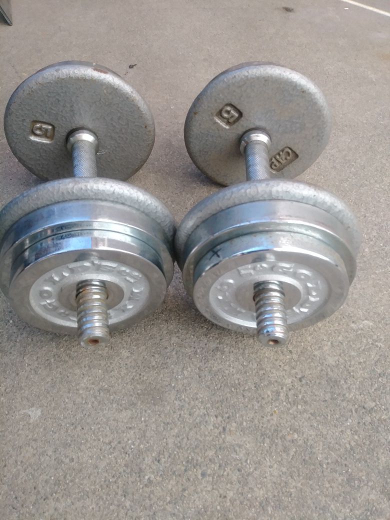 30LB Adjustable Dumbbells with spinlock weights