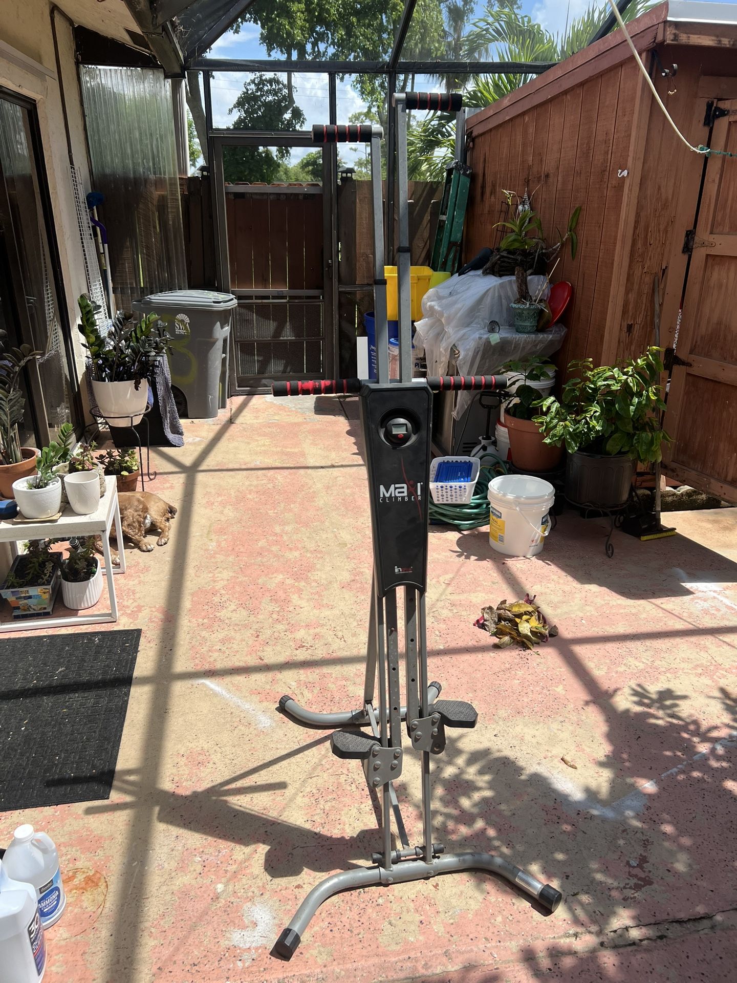 Exercise Maxi Climber