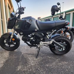 2023 Honda Grom