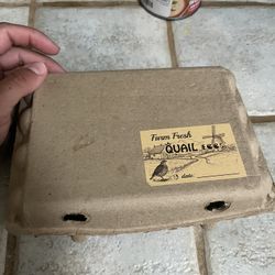 Quail Egg Containers