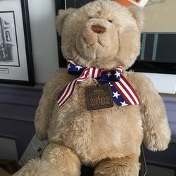100  anniversary teddy bear 24 inch ‘Wish Bear’