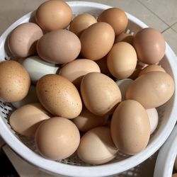 Farm fresh Eggs
