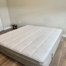 King Plush Dream Cloud Mattress 
