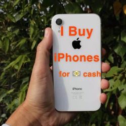 iPhone Xr PRO 
