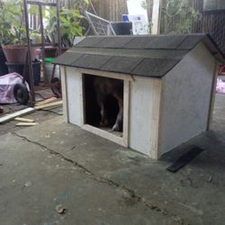 DOG HOUSE