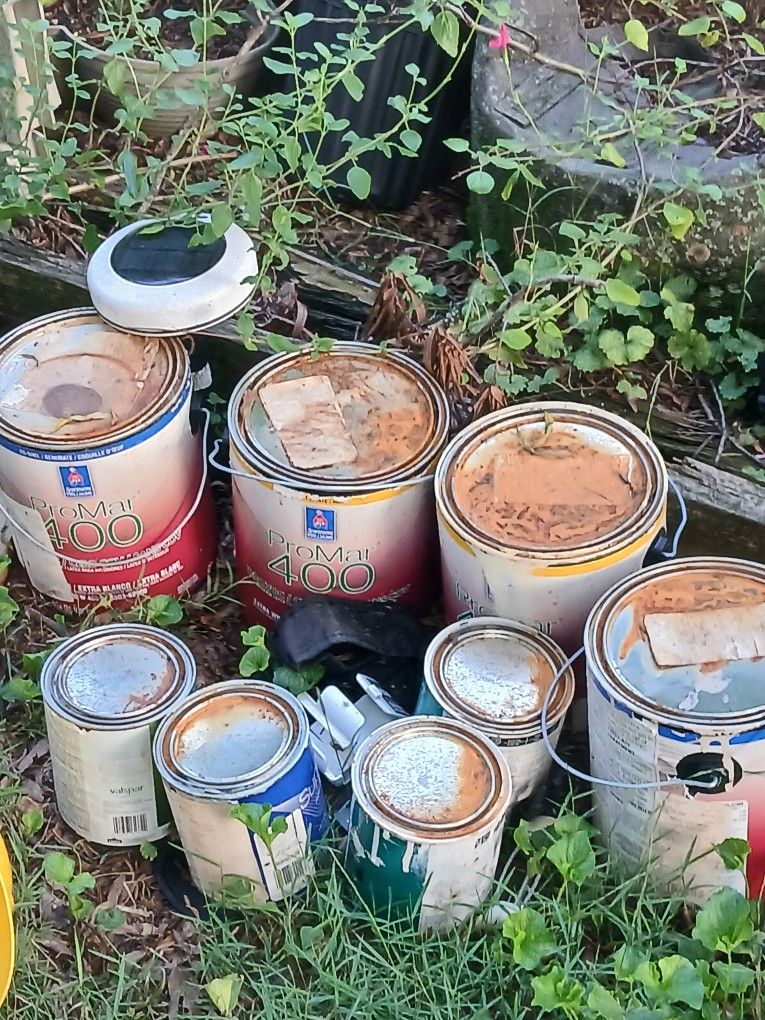 Left Over Paint Still Good